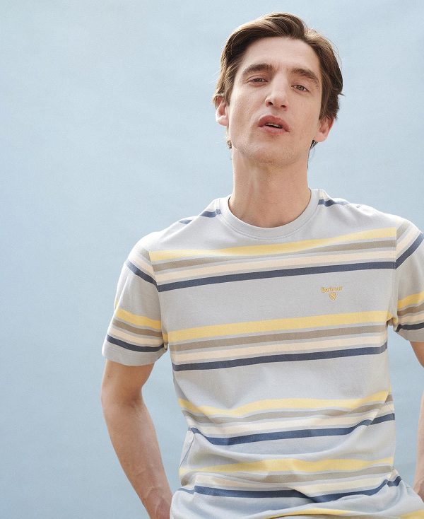 Barbour Hamstead Striped T-shirt ασπρα | BABO88378