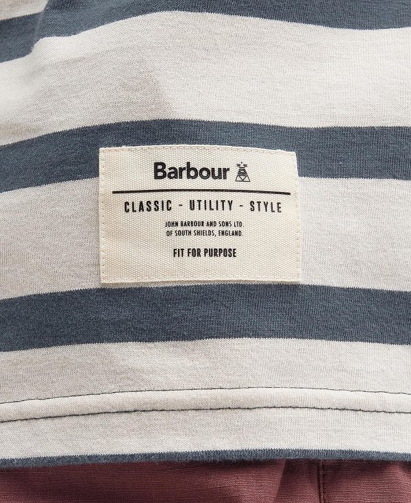 Barbour Handale Striped T-shirt μπλε | BABO88360