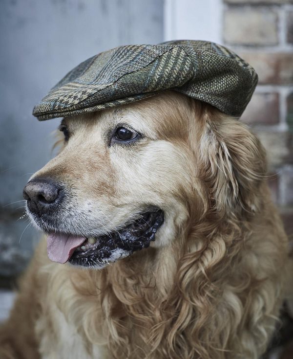 Barbour Wilkin Flat Cap Ελιά | BABO89017